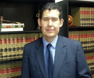 estolano law bookshelf 2